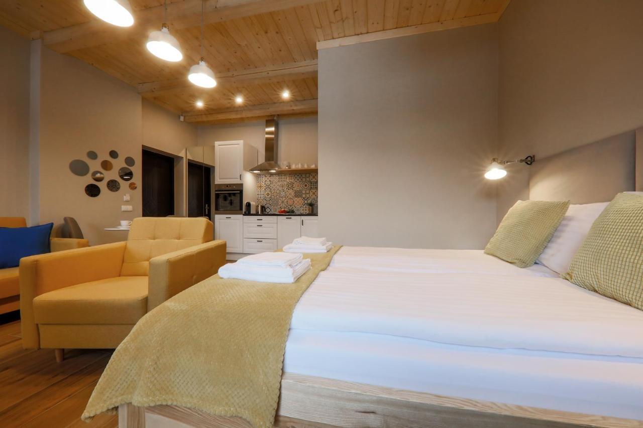 Apartamenty Mecenasowka 扎科帕内 外观 照片
