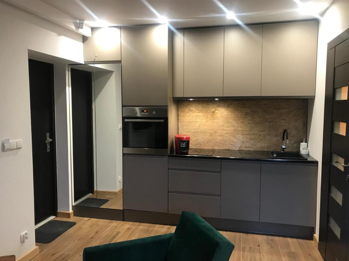 Apartamenty Mecenasowka 扎科帕内 外观 照片